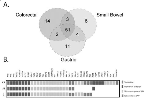 Somatic Mutation Profile Of The Different Tumor Lesions A Venn Diagram