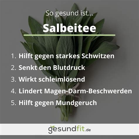 Salbeitee 8 Wirkungen 7 Tipps Zur Zubereitung Herbs Plants Garden