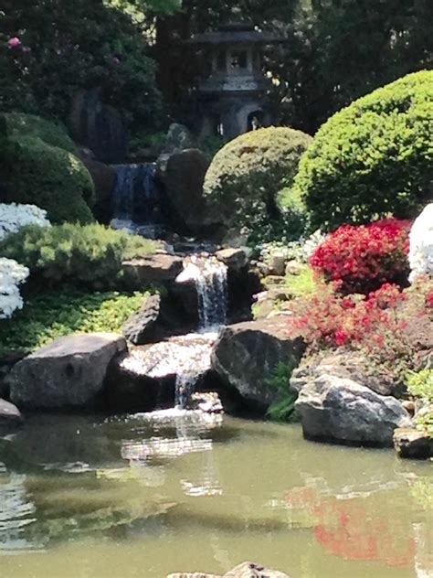 Japanese House & Garden Reflect Peace, Harmony - Toronto Botanical Garden