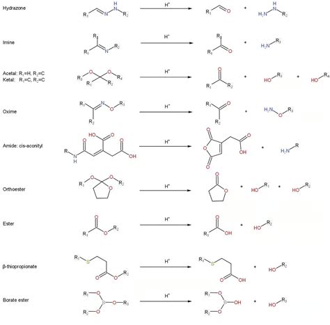 Frontiers PH Responsive Polymer Nanomaterials For Tumor Therapy