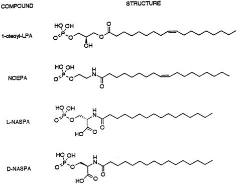 Ethanolamine Structure