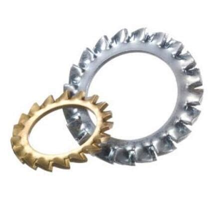 External Internal Teeth Serrated Lock Washers Din With Stainless