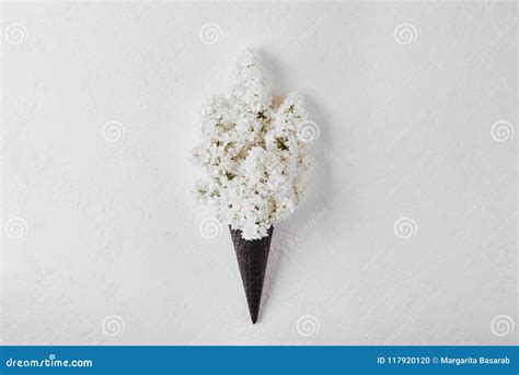 Cono De La Galleta Con El Ramo De La Flor De La Lila En El Fondo Blanco