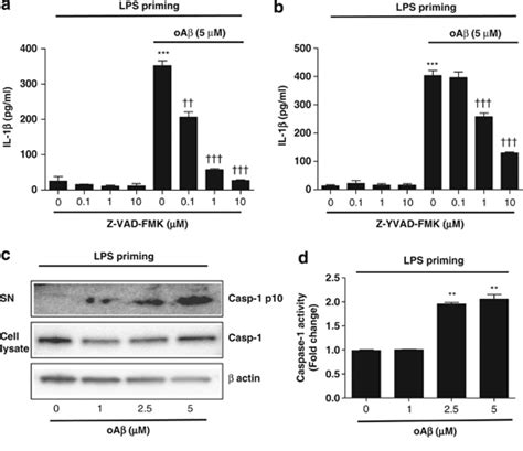 Aβ Induces Il 1β Secretionrelease Via Caspase 1 Activation Lps Primed