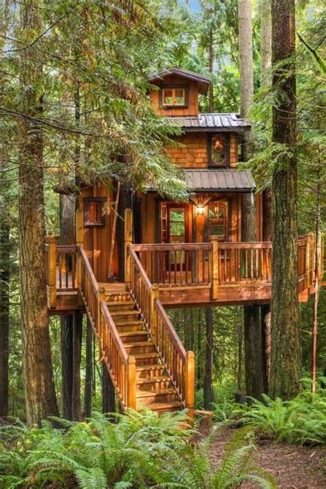 34 Stunning Tree House Designs You Never Seen Before Magzhouse