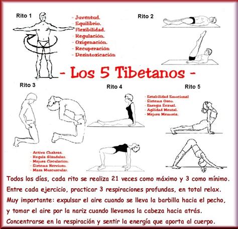 Milagros Del Yoga Los Cinco Ritos Tibetanos Y Sus Beneficios