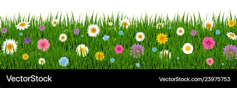 Green Grass And Flowers Border Royalty Free Vector Image