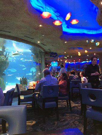 Aquarium Restaurant, Nashville - Menu, Prices & Restaurant Reviews - TripAdvisor