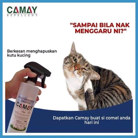 Spray Kutu Haiwan Cat Flea Lice Spray Spray Kutu Kucinganjing