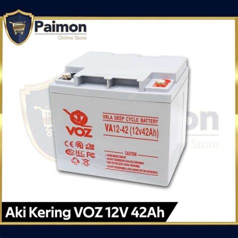 Promo Baterai VRLA Aki 12V 42 Ah Baterai Deep Cycle Battery Voz 12V 42