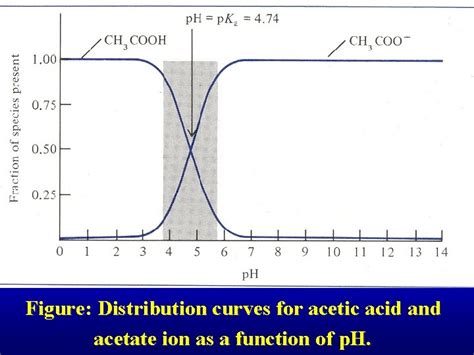 6 Chapter 6 Equilibrium Of Acid And Base