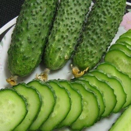 Огурец Муму: описание и характеристики сорта, правила посадки и ...
