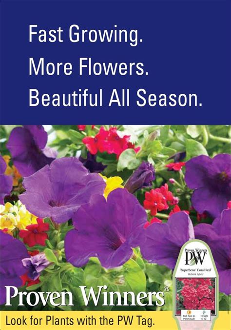 Proven Winners® Wholesale Bedding Plants Hybels Inc