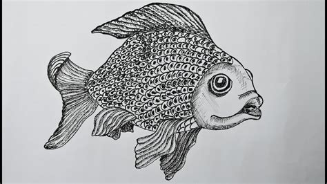 Realistic Fish Drawing at PaintingValley.com | Explore collection of Realistic Fish Drawing