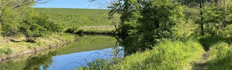 Marsh Creek Long Loop Reviews Map Pennsylvania Alltrails