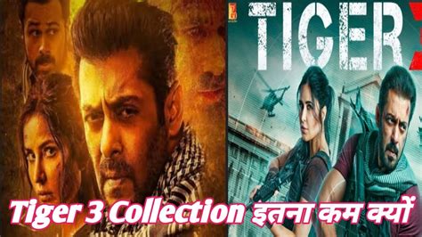 Tiger Th Day Box Office Collection Report Tiger Total Box