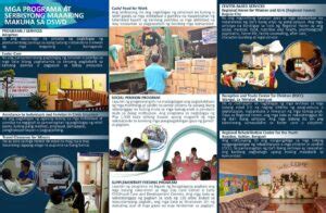 List Of Dswd Programs Projects And Services Dswd Program