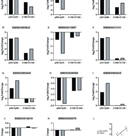 Correlation Analysis Between Gene Expression Ratios Obtained From