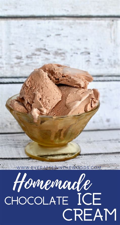 Homemade Chocolate Ice Cream No Eggs And Cocoa Artofit