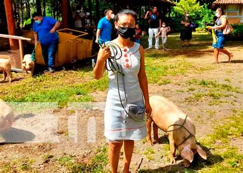 Inta Entrega Bonos De Cerdo A Igual N Mero De Familias En Nandaime