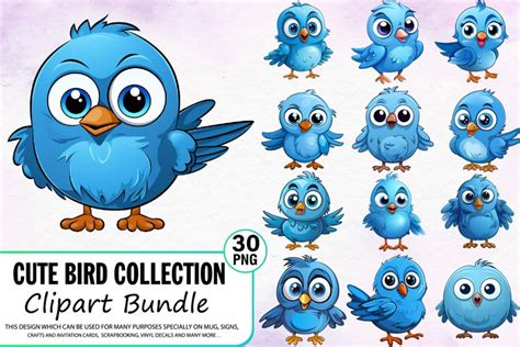 Cute Bird Clipart Bundle