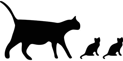 Katzen Silhouette Schwarz · Kostenlose Vektorgrafik Auf Pixabay