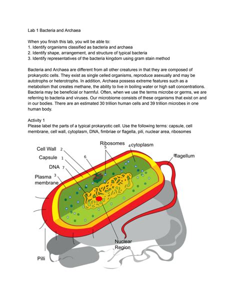 SOLUTION: Bio112 lab 1 bacteria and archaea - Studypool