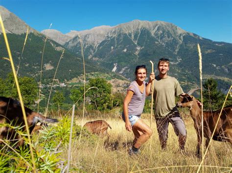 Hautes Alpes Lagro Cologie Et La Biodiversit Au C Ur De La Ferme Du