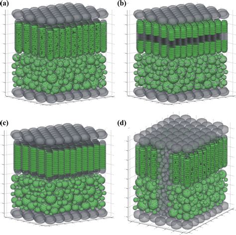 Diagram Internal Structure Of A Typical Dicot Leaf Diagram, 59% OFF