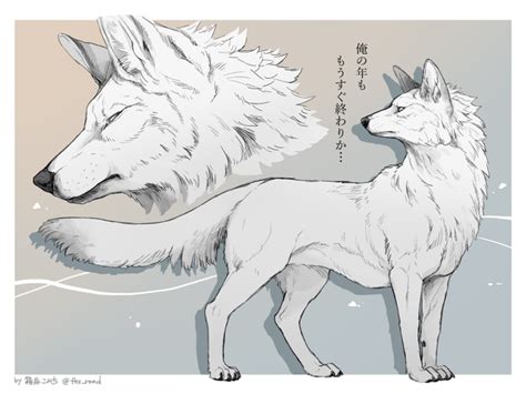箱舟こみち On Twitter 動物のスケッチ オオカミの絵 イラスト 狼