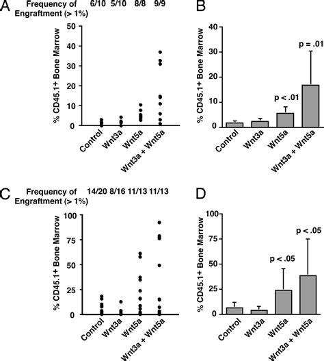 Wnt5a Inhibits Canonical Wnt Signaling In Hematopoietic Stem Cells And