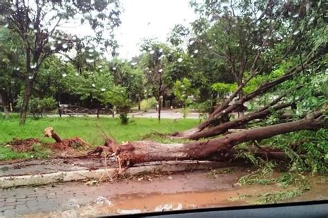 Governador Valadares MG Vento E Chuva De Granizo Causa Estragos Em