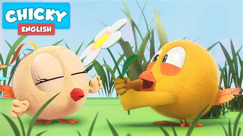 Where S Chicky Funny Chicky 2021 LOVE PRESENT Chicky Cartoon In