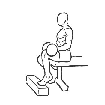 Dumbbell Seated One Leg Calf Raise FreeWorkoutLog