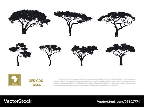 Black Silhouettes African Trees Royalty Free Vector Image