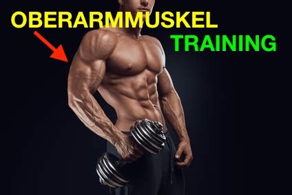 ᐅᐅᐅ Wie sieht das perfekte Oberarmmuskel Training aus