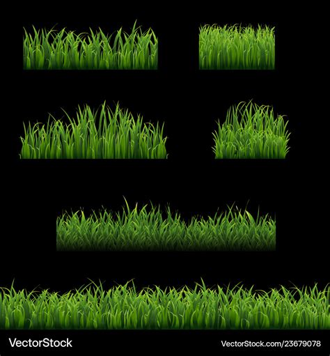 Big Set Green Grass Borders Black Background Vector Image