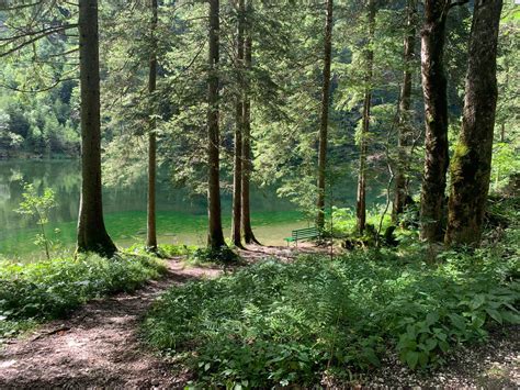 Der Sommer Kehrt Zur Ck Wanderung Zum Mittersee Der Lunz Blog