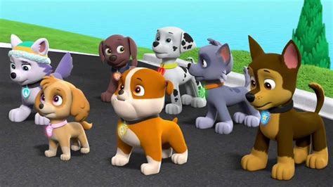 Paw Patrol Pups Skye Paw Patrol Nickelodeon Bowser Hedgehog Mario