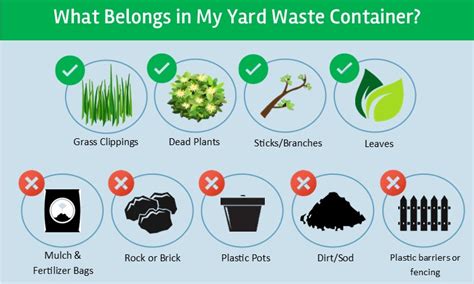 Yard Waste Explained Homewood Disposal Service