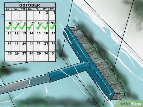 how to get rid of black algae in your pool