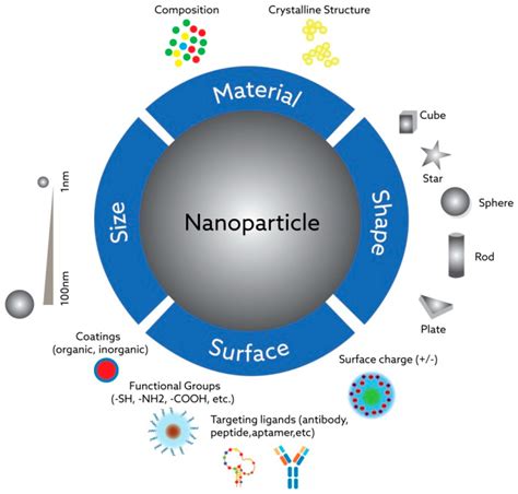 Jfb Free Full Text Overview Of Physicochemical Properties Of