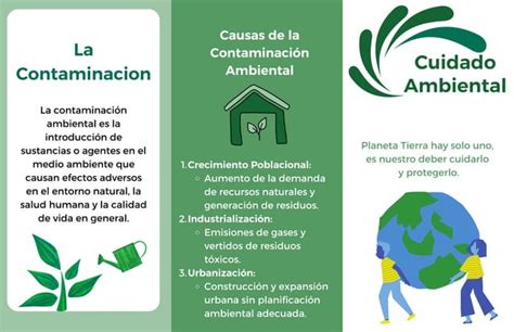 Triptico Sobre La Contaminaci N Y Sus Formas De Solucionarlo Ppt