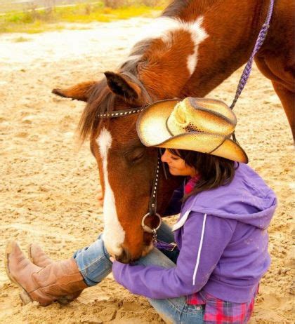 Un Cheval Mort O Photos De Chevaux En Libert