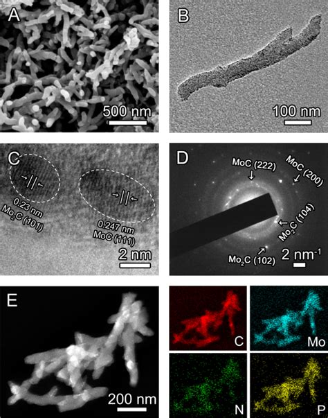 A SEM B TEM And C HRTEM Image Of N P Mo X C NF D SAED