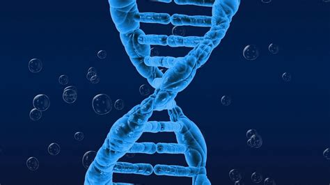 Genetics Wallpapers Top Free Genetics Backgrounds Wallpaperaccess