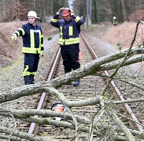 U Bahn fährt in umgestürzten Baum Mehr als 130 Einsätze WELT