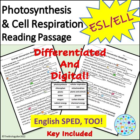 ESL Biology Photosynthesis And Cellular Respiration Reading Passage