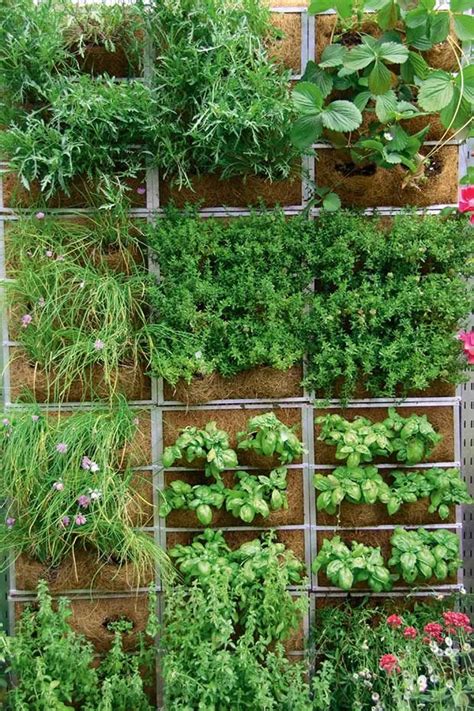 Vertical Gardening How To Use Vertical Planting To Maximise A