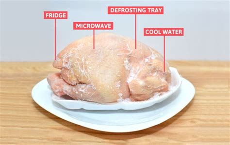 How To Defrost Chicken Fast Best Way To Thaw Chicken Meat